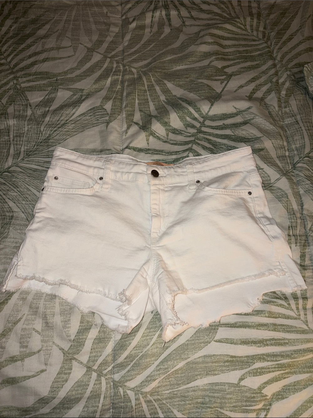Joes White Frayed Hem Denim Shorts-29